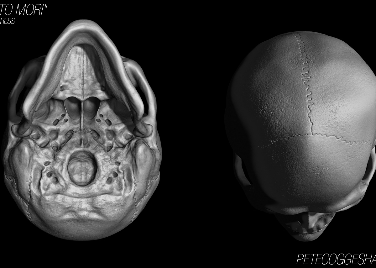 skull2.jpg