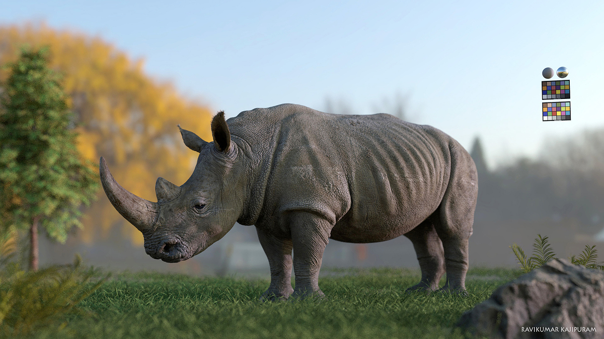 rhino_ldv_005