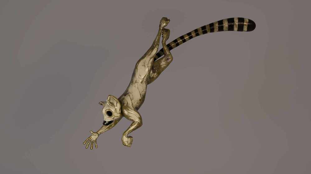 lemur_upper