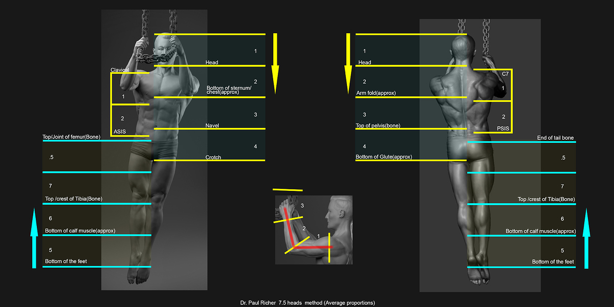 18_Shyam_MAstudy_pose_proportions