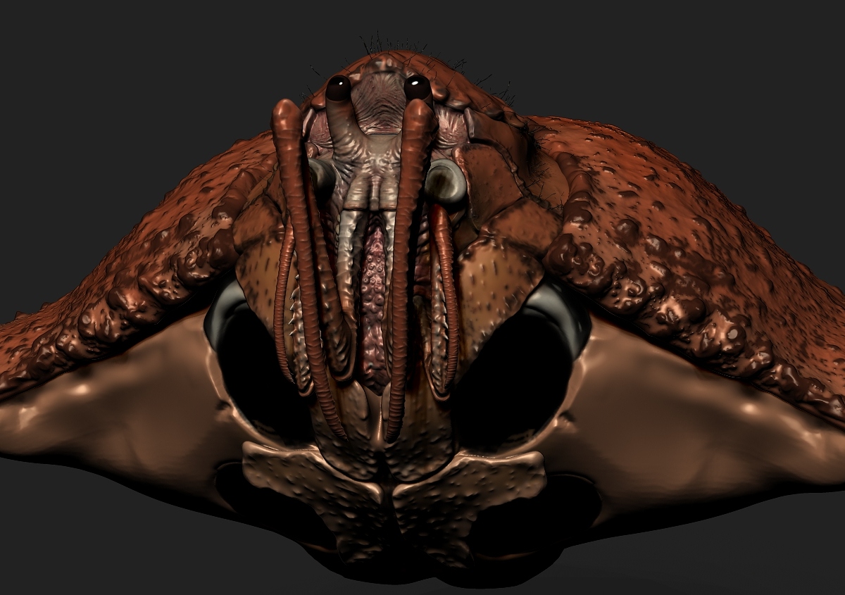 Crab6.jpg