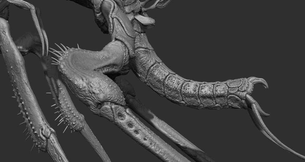 ZBrush Document11