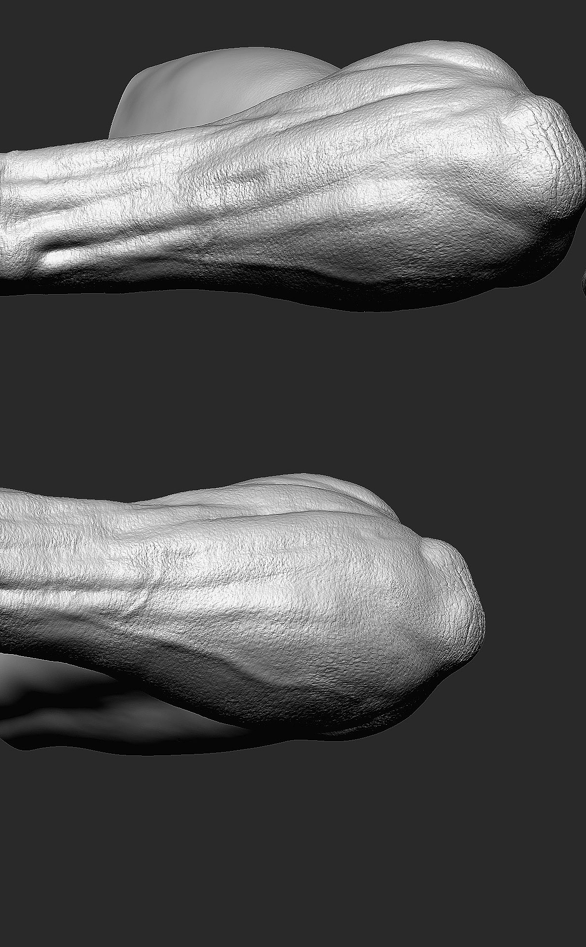 hand_02.jpg
