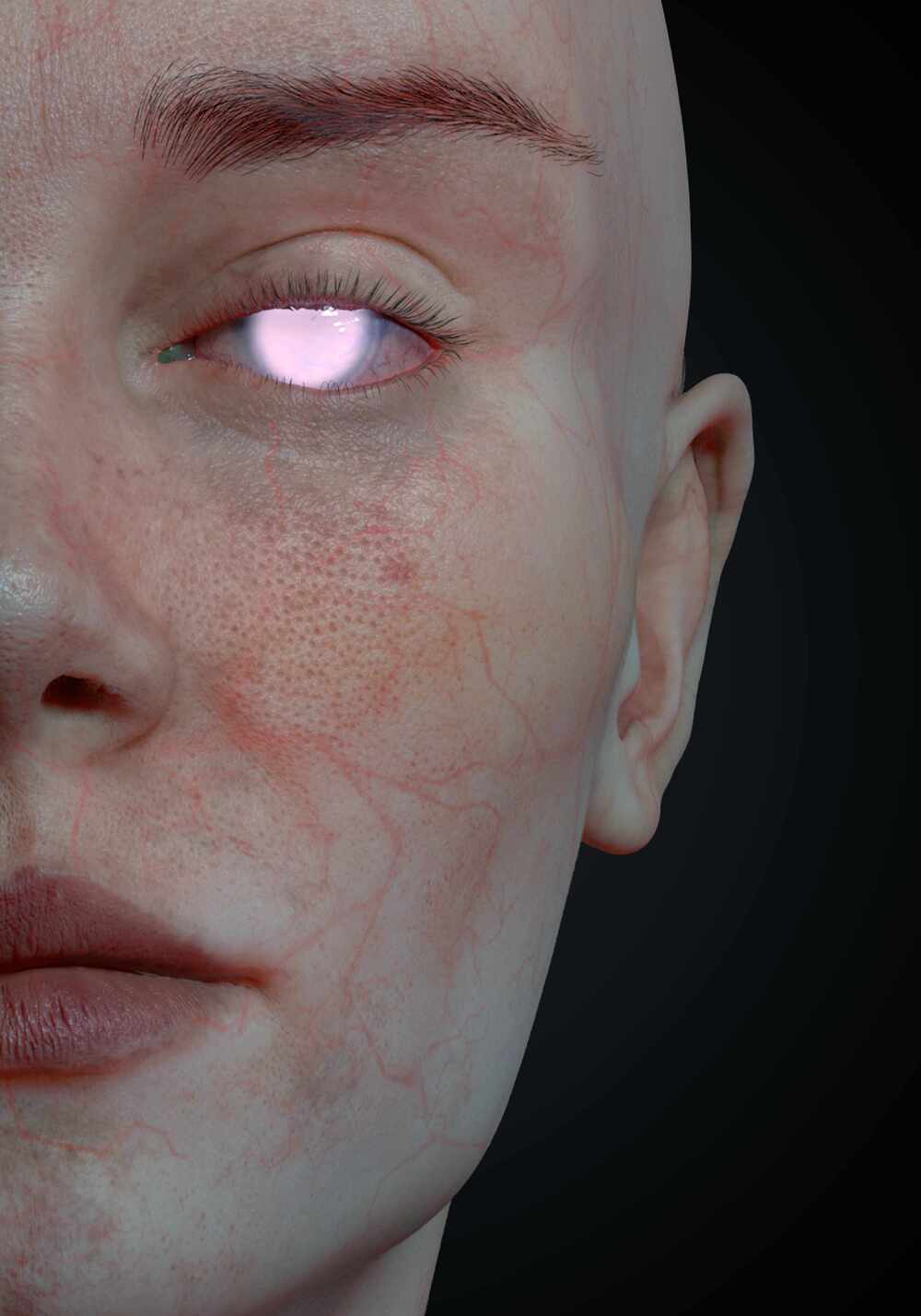 Detalle_New