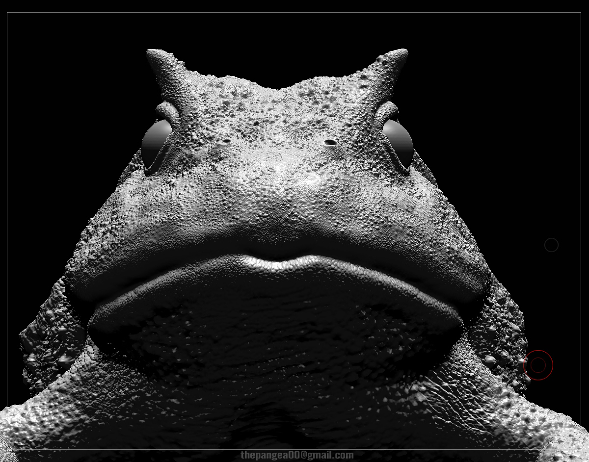 2016-04-04 00_22_25-ZBrush.jpg