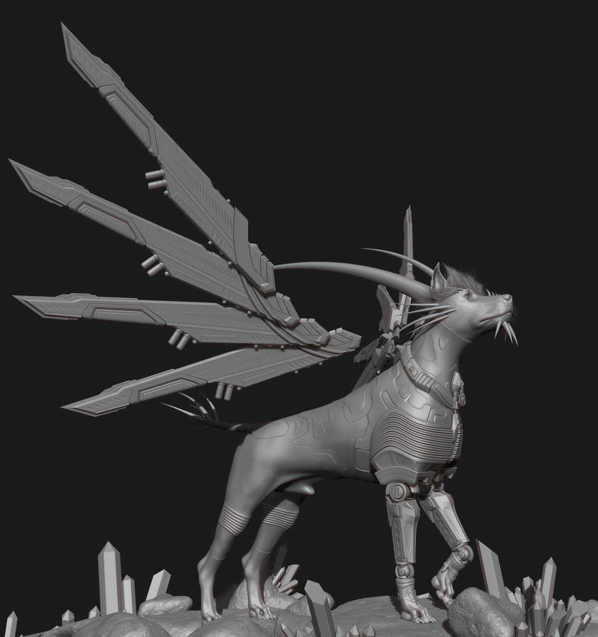 dogtr8crop