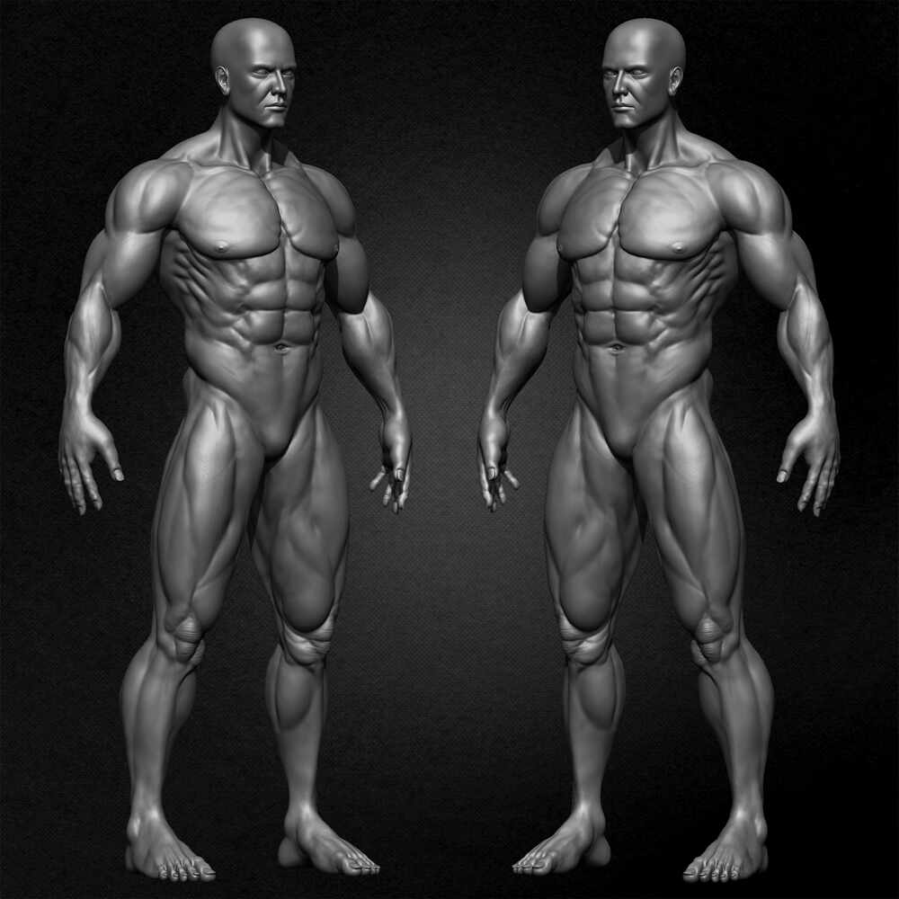 Muscular Male Anatomy Volume 2 3D Character sculpted by Yacine BRINIS 017
