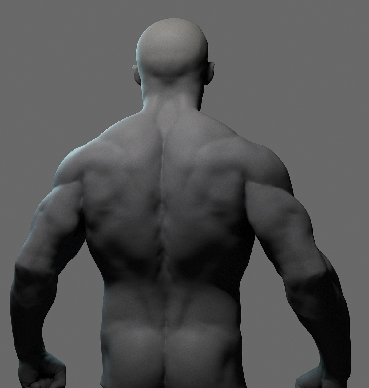 k_torso02