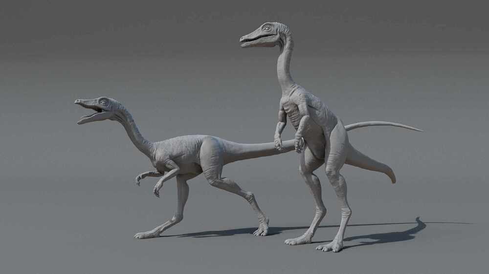 Poses
