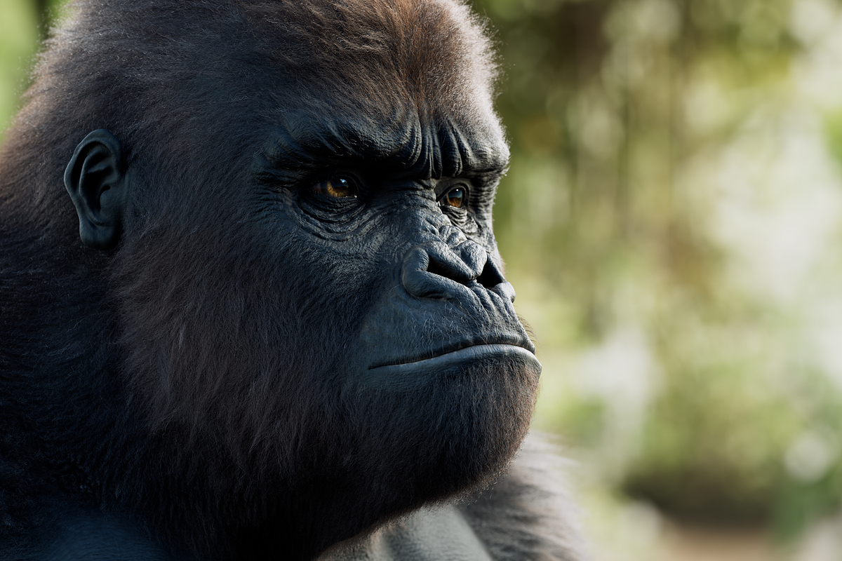 Gorilla_CloseUp_02