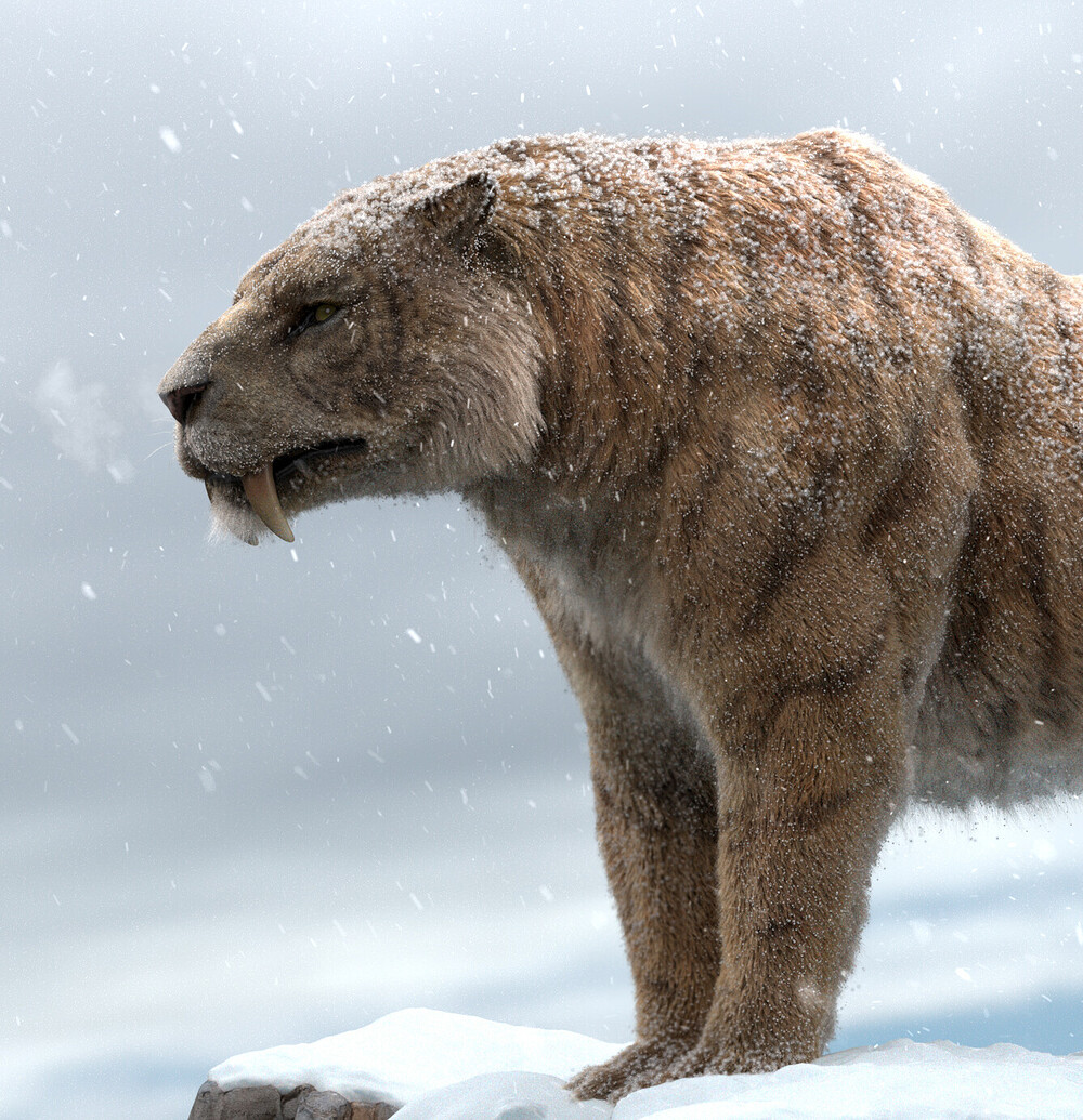 ivo-diependaal-sabertooth-57-composite-v100-export-cropped