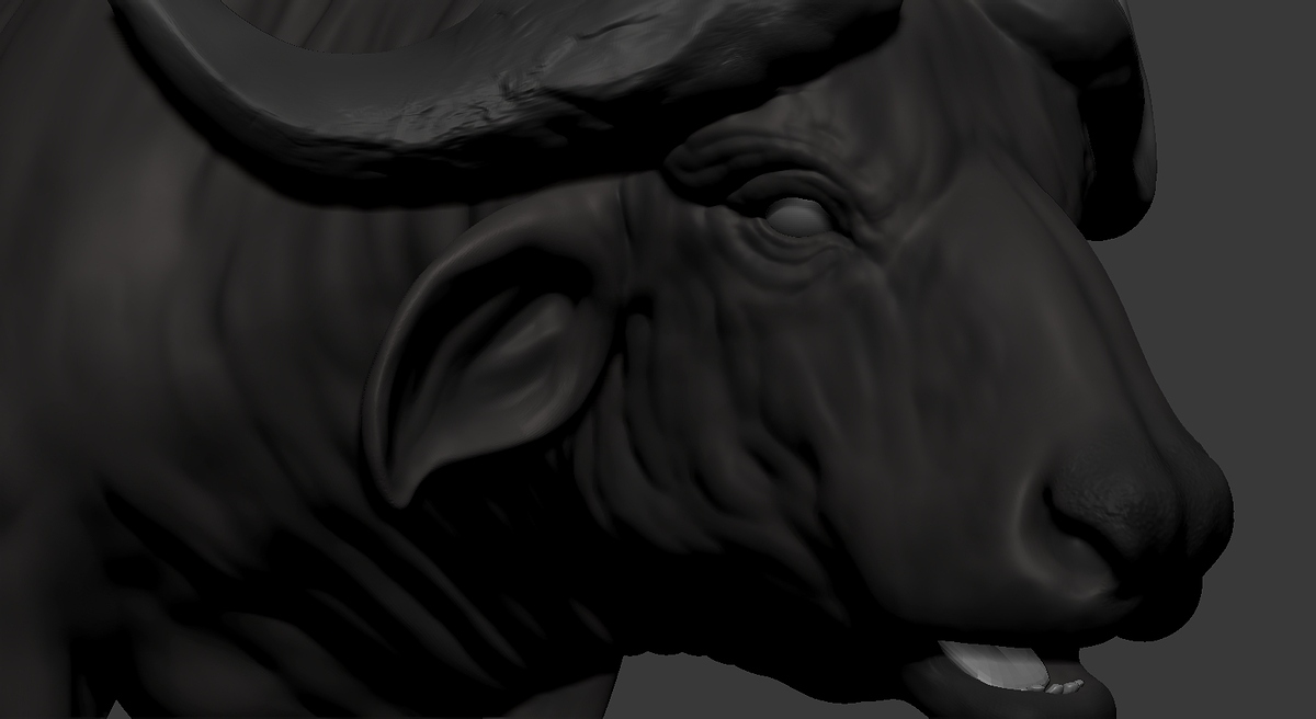 ZBrush Document