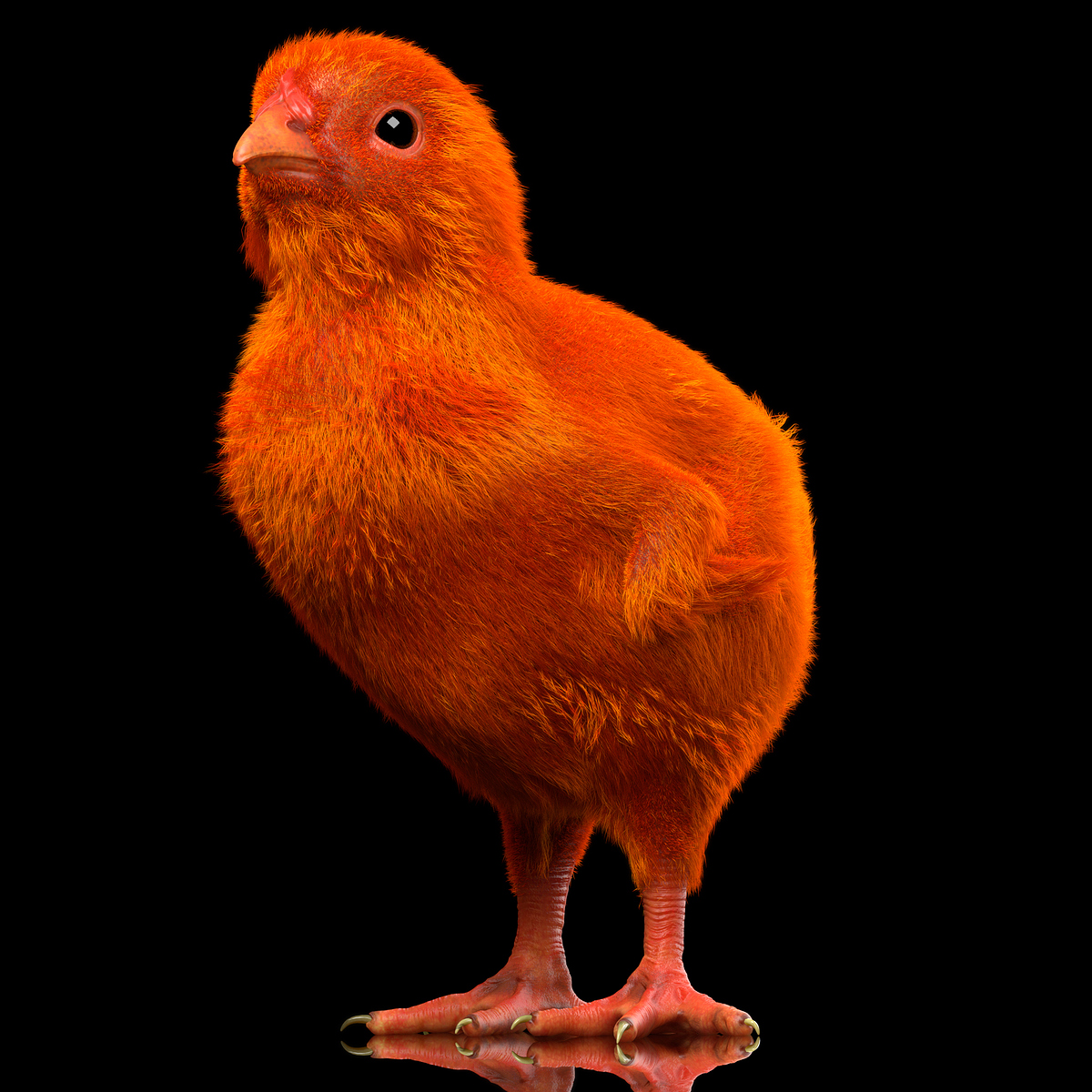 1%20(2)