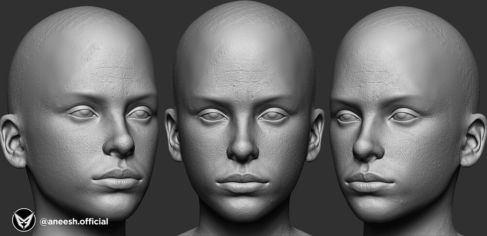 the-aneesh-arts-render-zbrush-view-00000