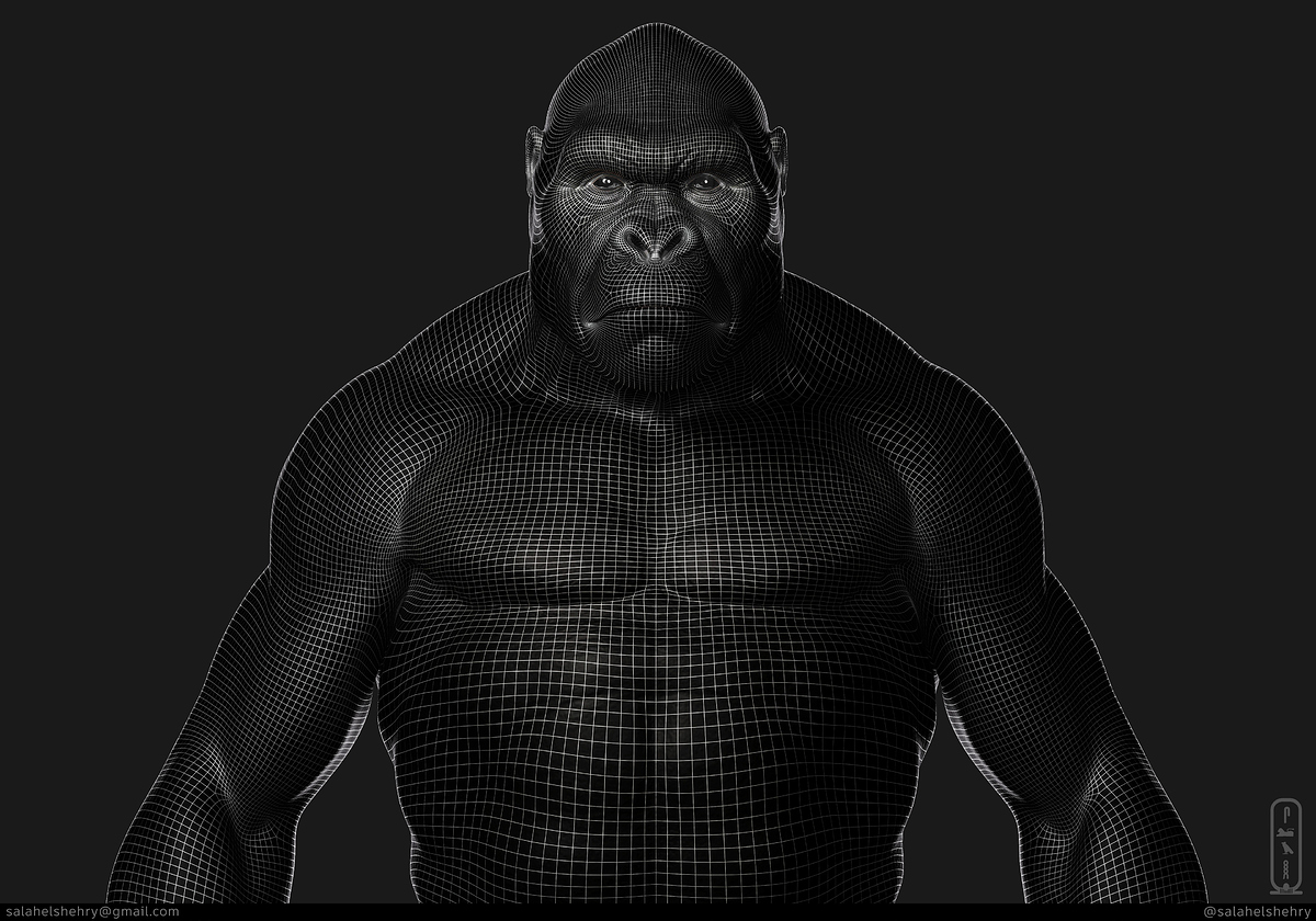 salah-elshehry-z49-kong