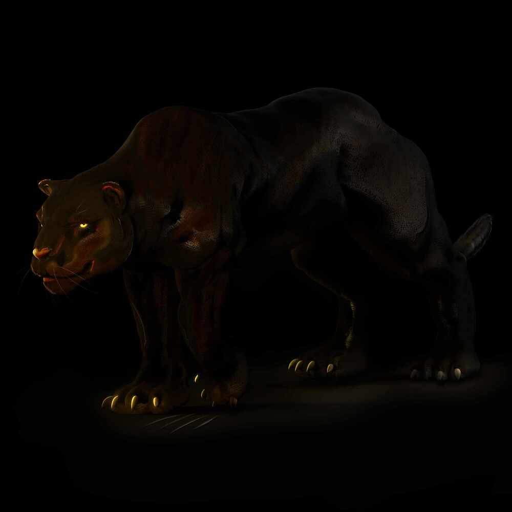 tigerF