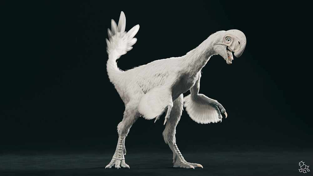 Oksoko_avarsan_POSE1_WH