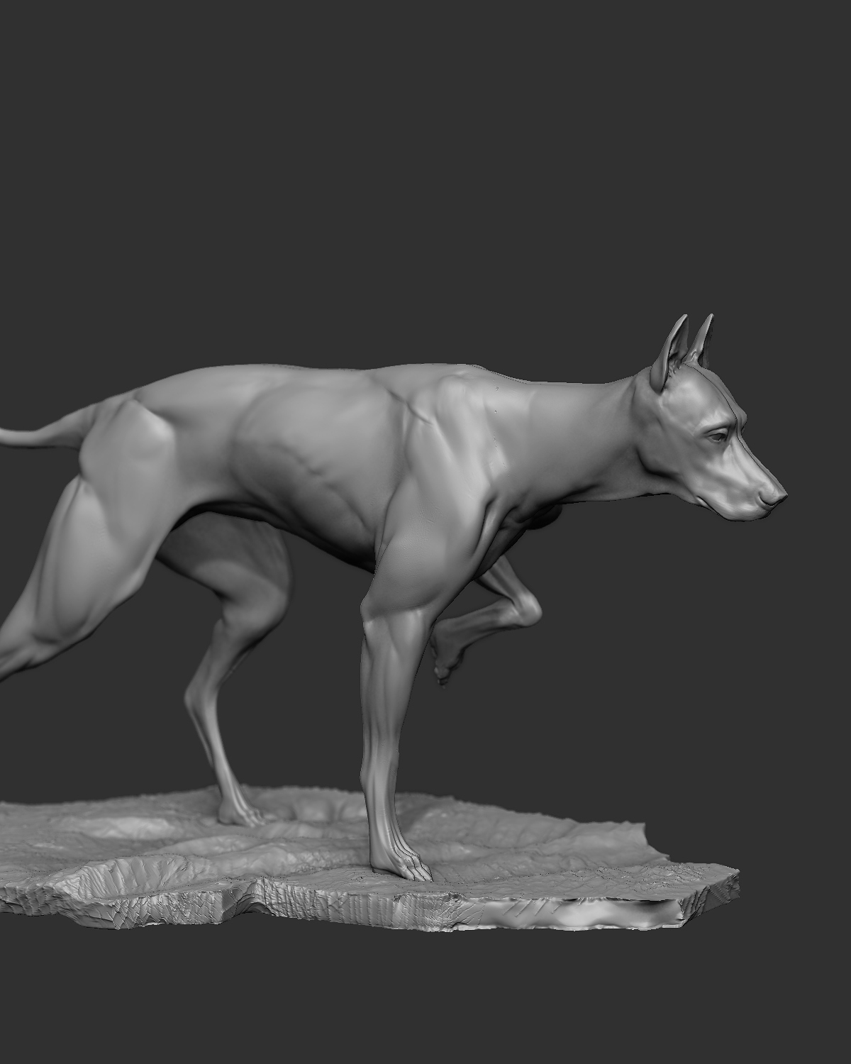 Dog_2.jpg