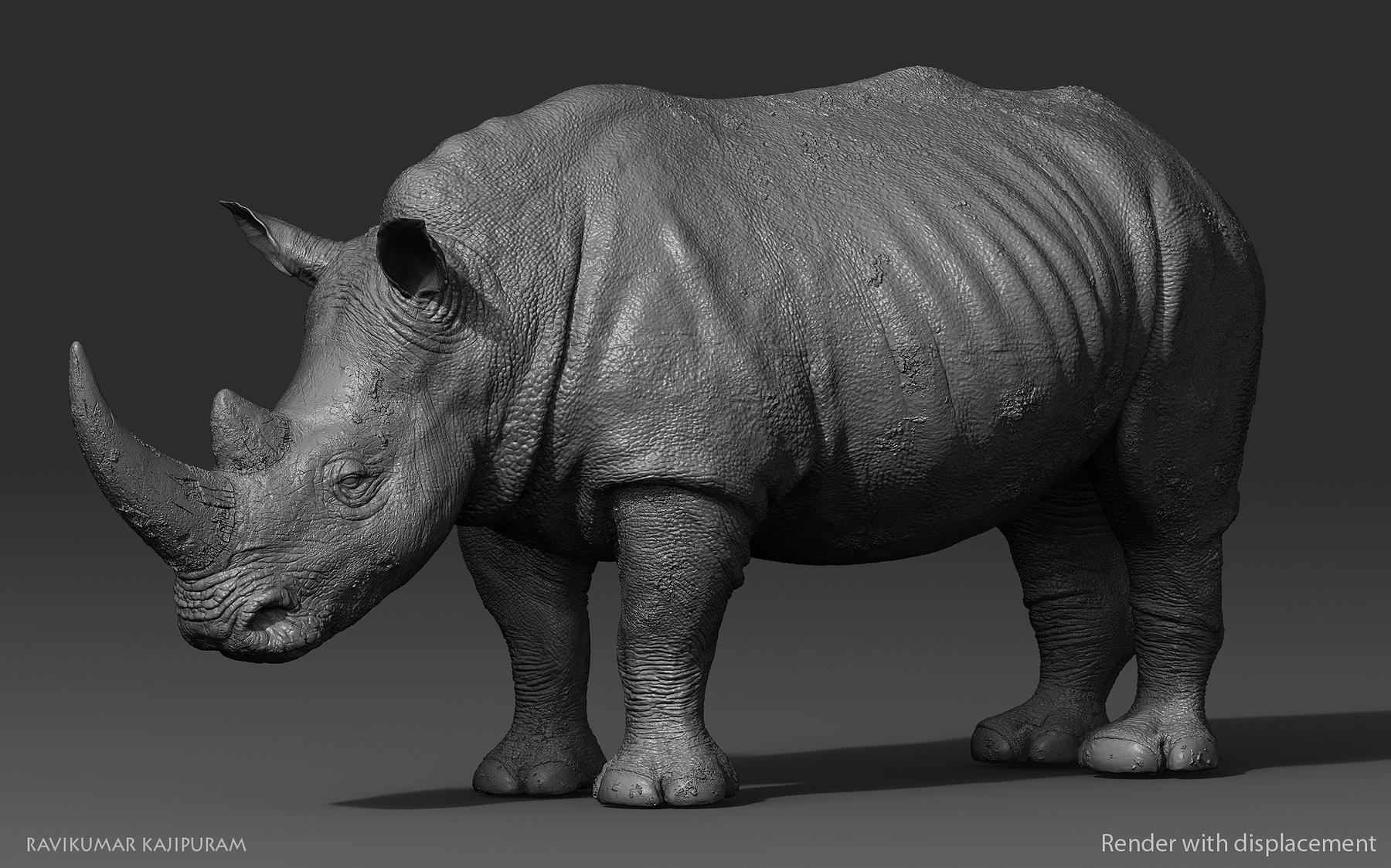 Rhino Zbrush Sculpt ZBrushCentral