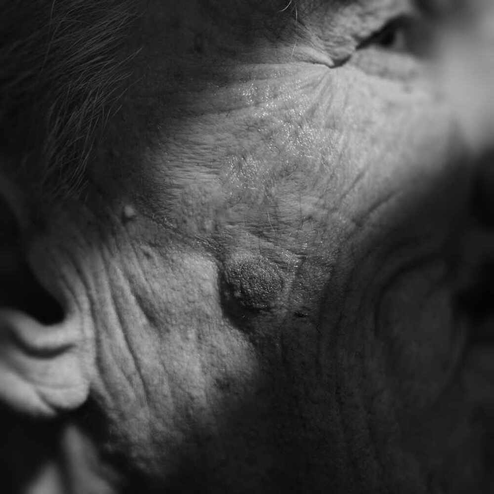 ingmar bergman mole