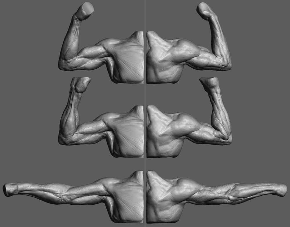 Week3_Arms