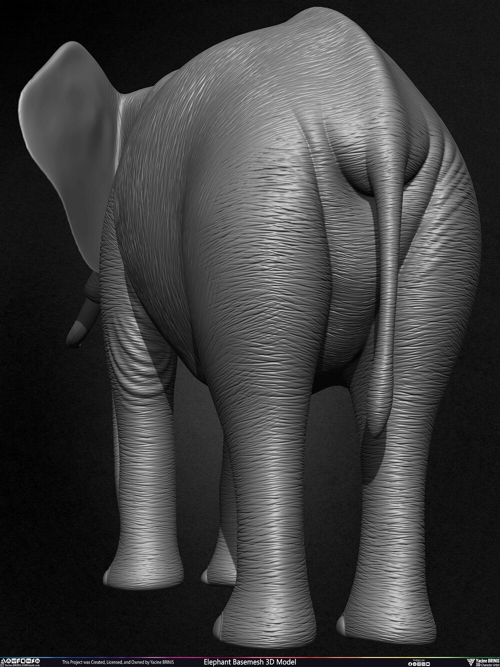 Elephant Basemesh 3D Model Animal Sculpted by Yacine BRINIS Set 020