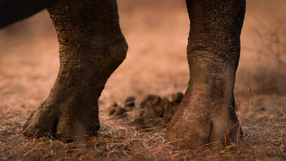 closeUp_render_v001.1118-2