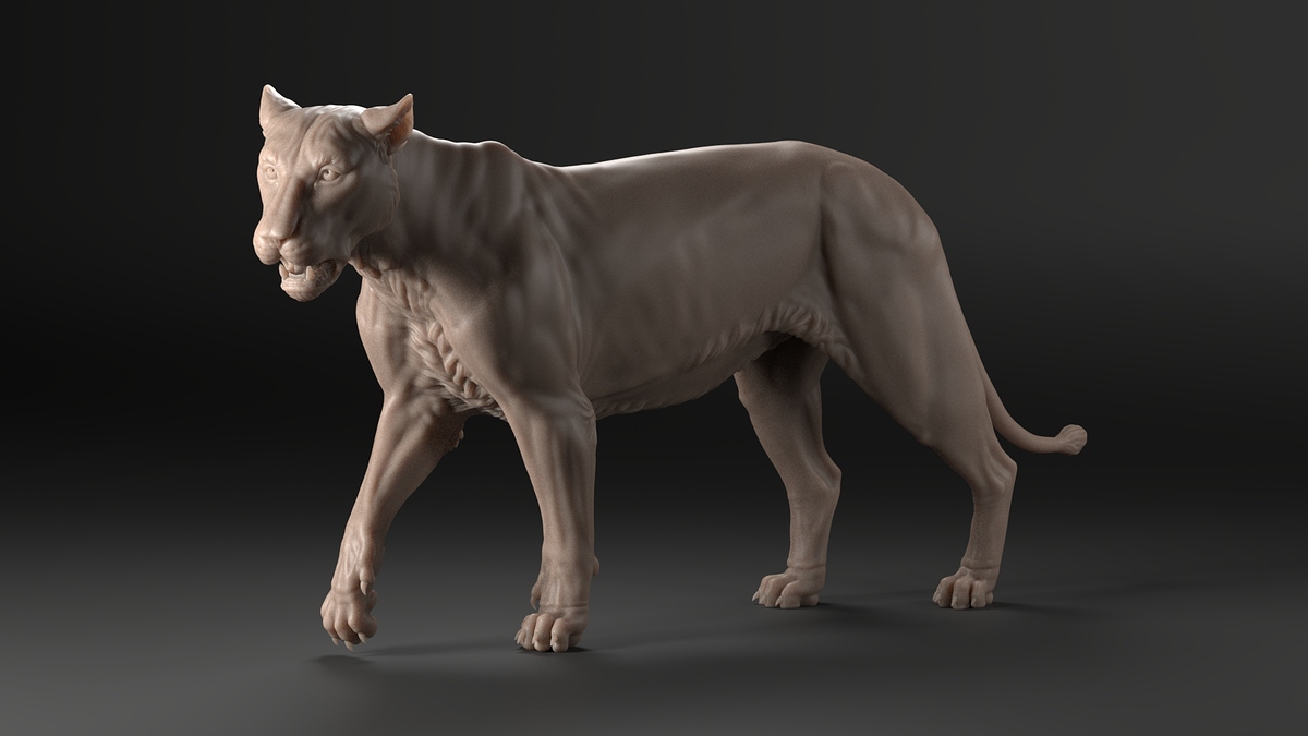 Lioness