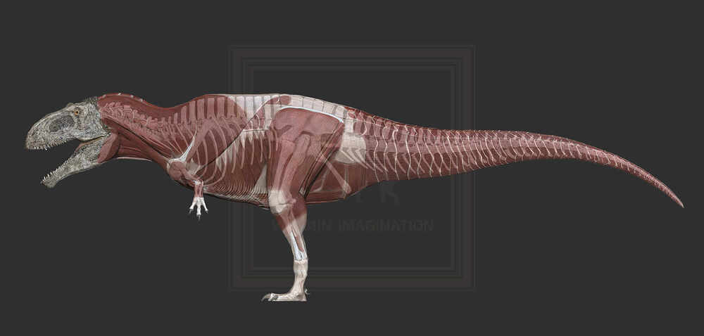 ZBrush Document7-1