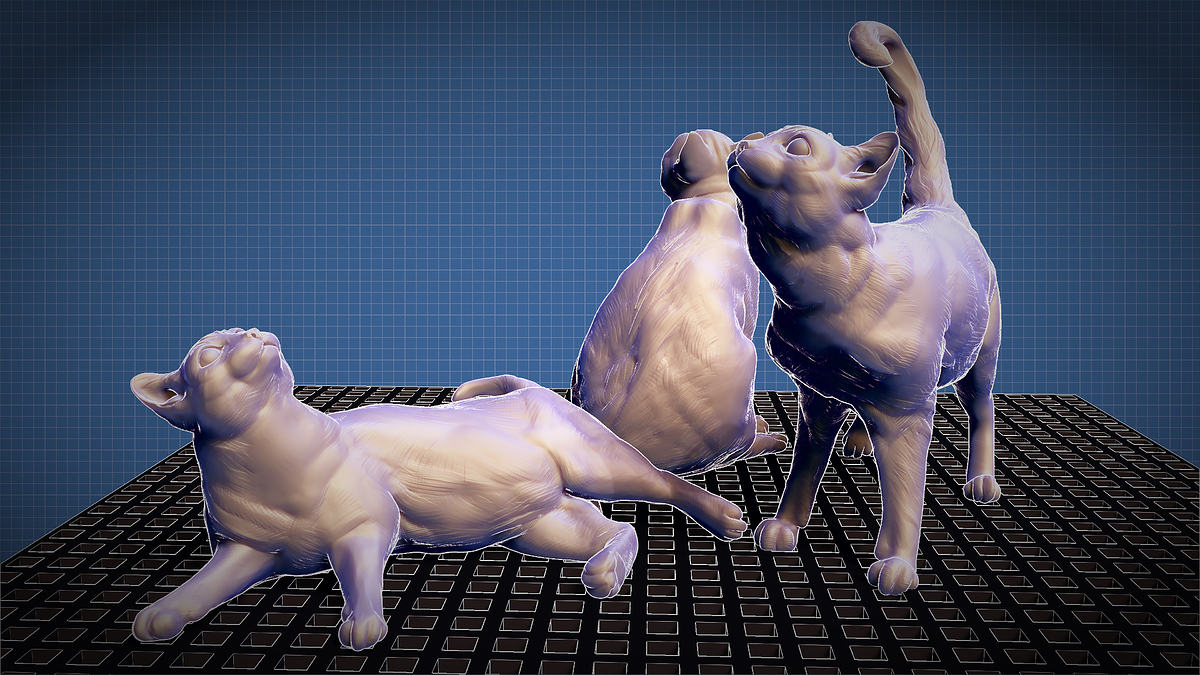 Haviland Tufs CATs byDarya Girina_7