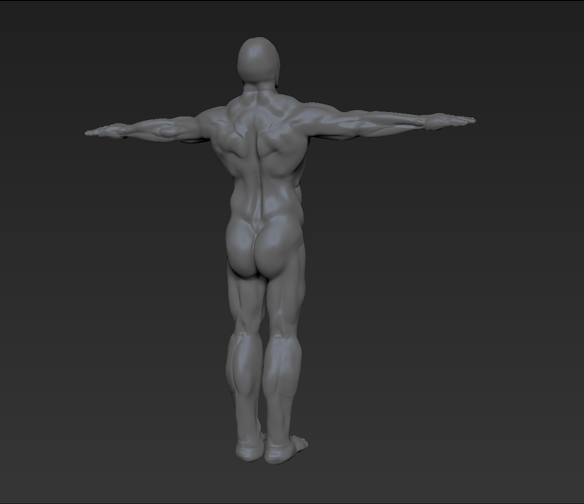 Human-Test-Wip1v3.jpg