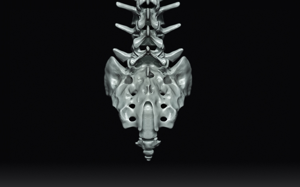 Sacrum5
