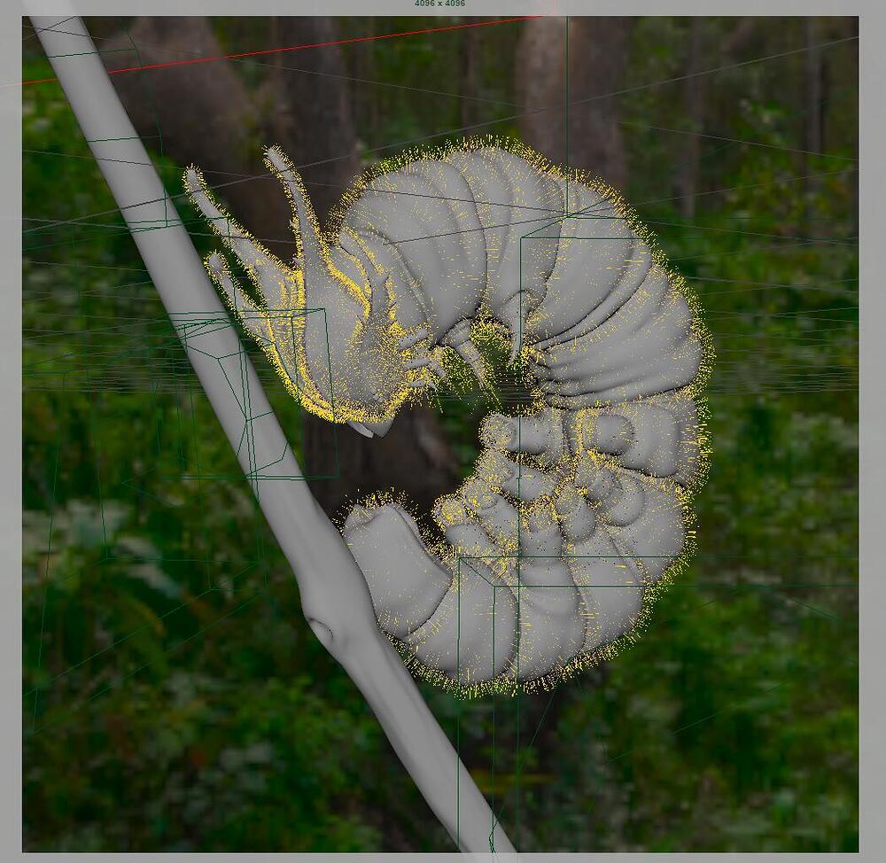 c