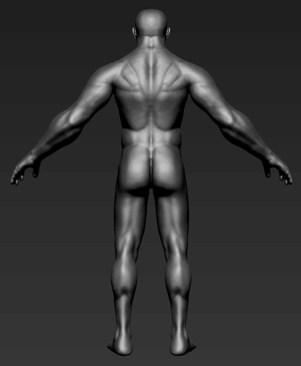 Blade_Base_Model_Rear