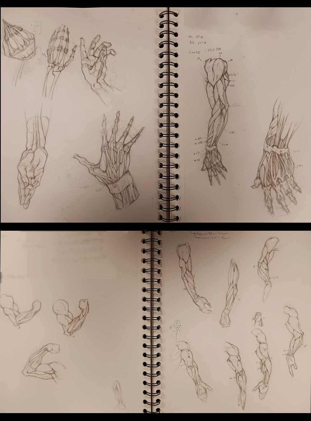 Achilles_Sketchbook_MMilano_P202