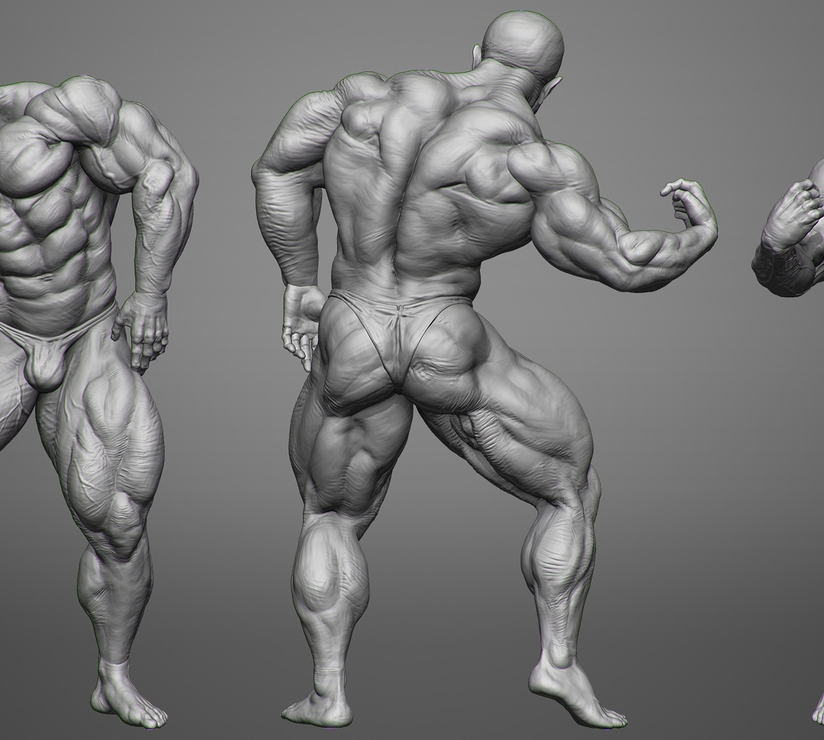 MuscleStudy_WIPs.jpg