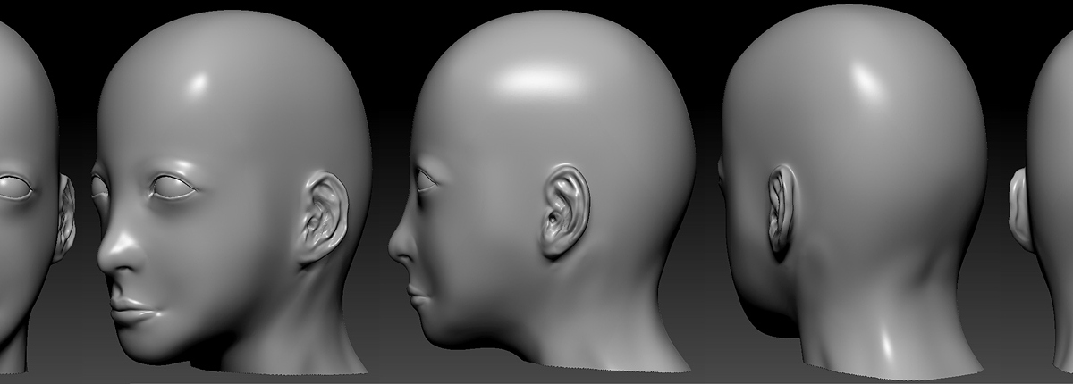 female head.jpg
