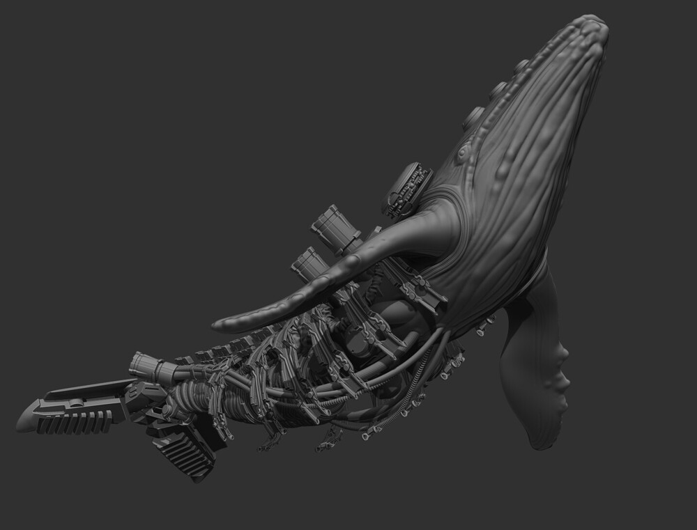 scott-shepherd-oceanix-whale-1