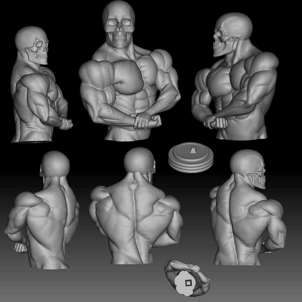 Body6