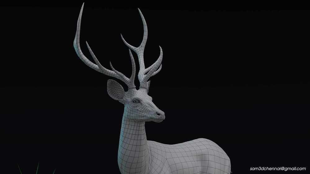 Deer_09