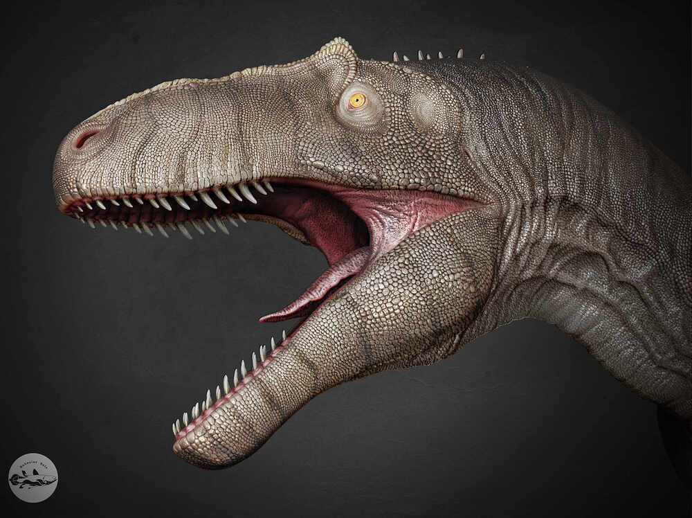 Render_0_002C