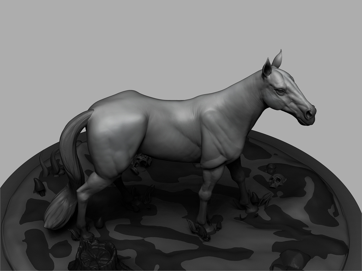 Horse04