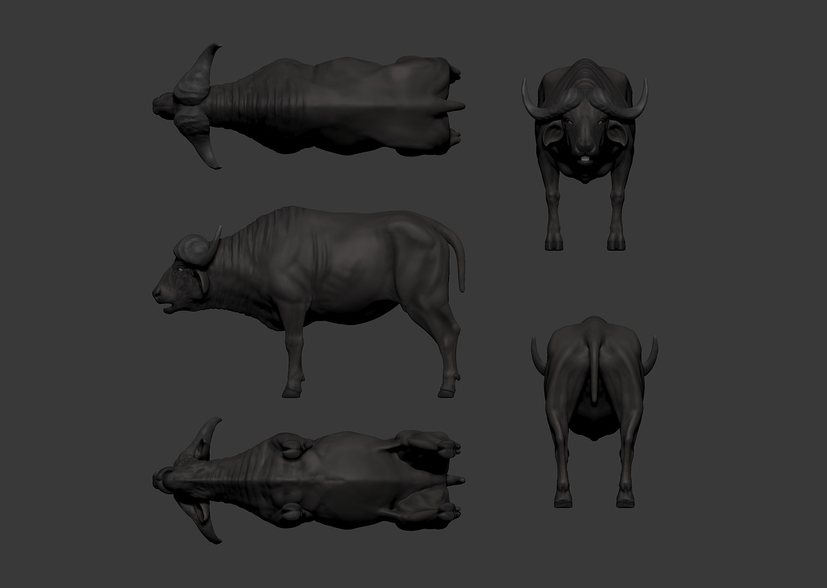 AC_Buffalo