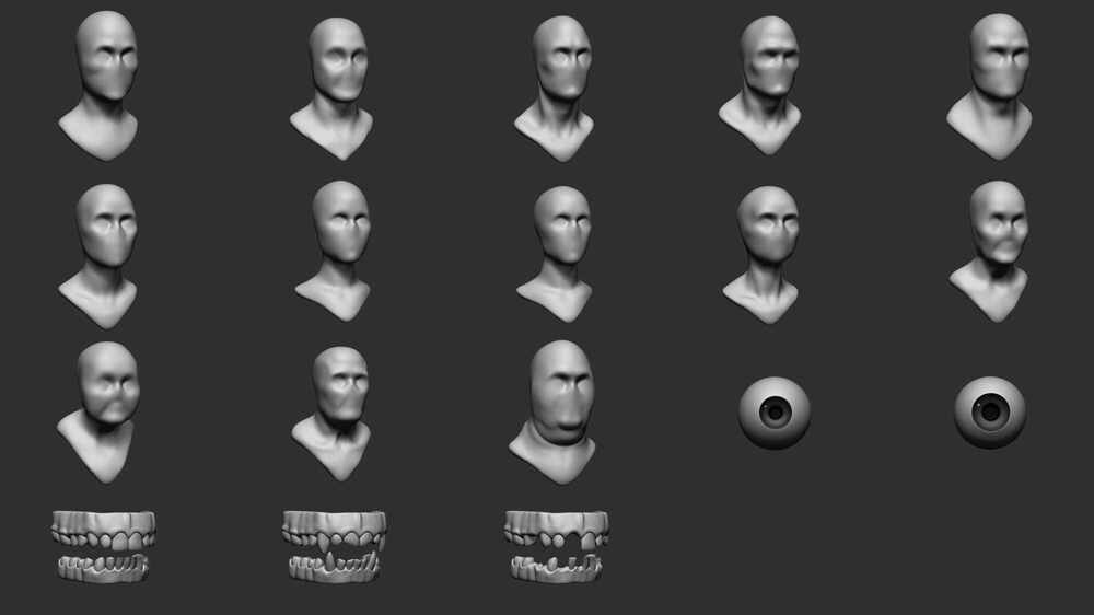 VDM_bases