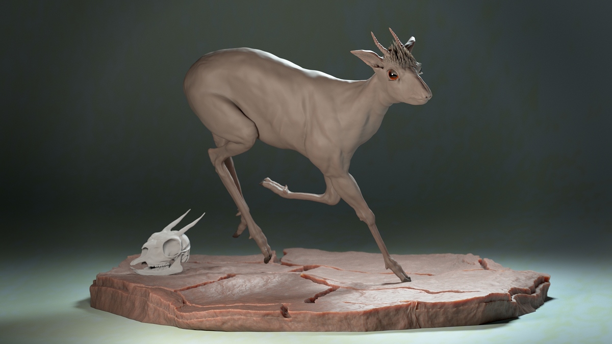 dikdik_Side_NoFur_HD_v2