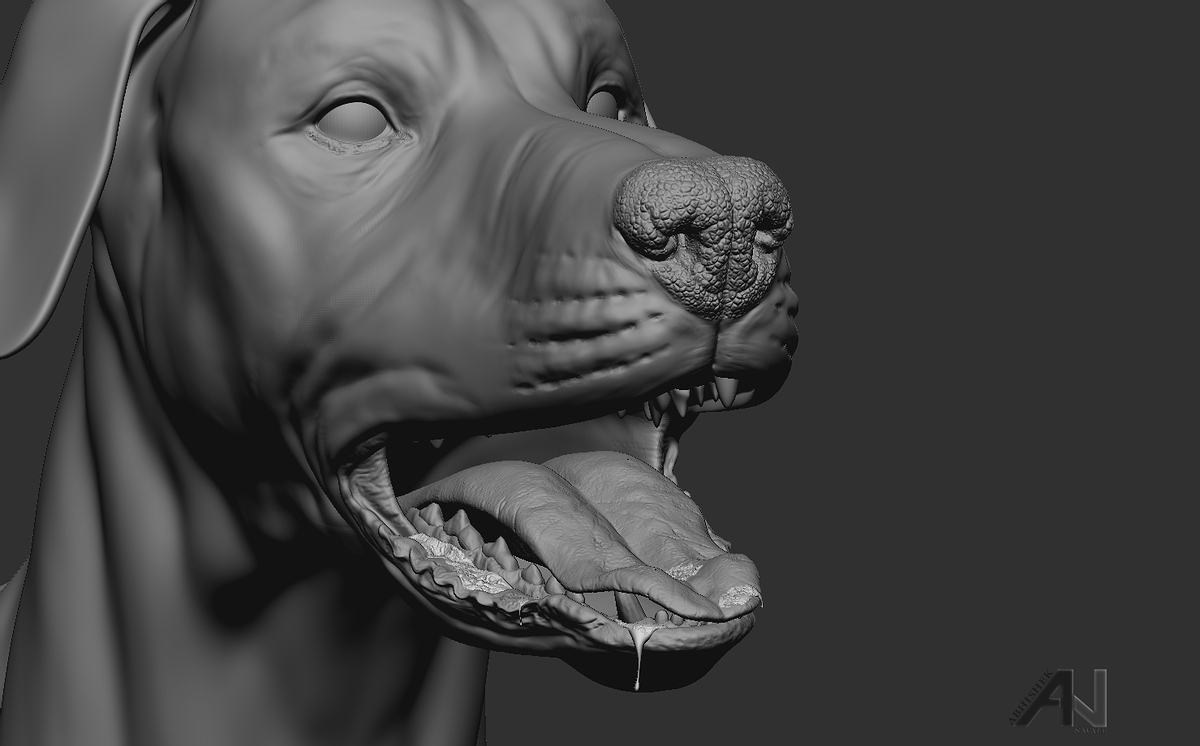 dog_ZBrush_1