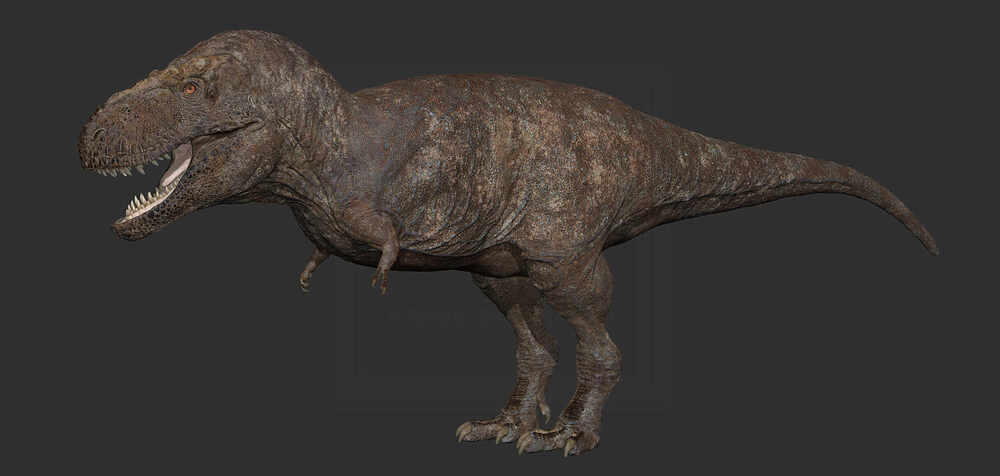 ZBrush Document1