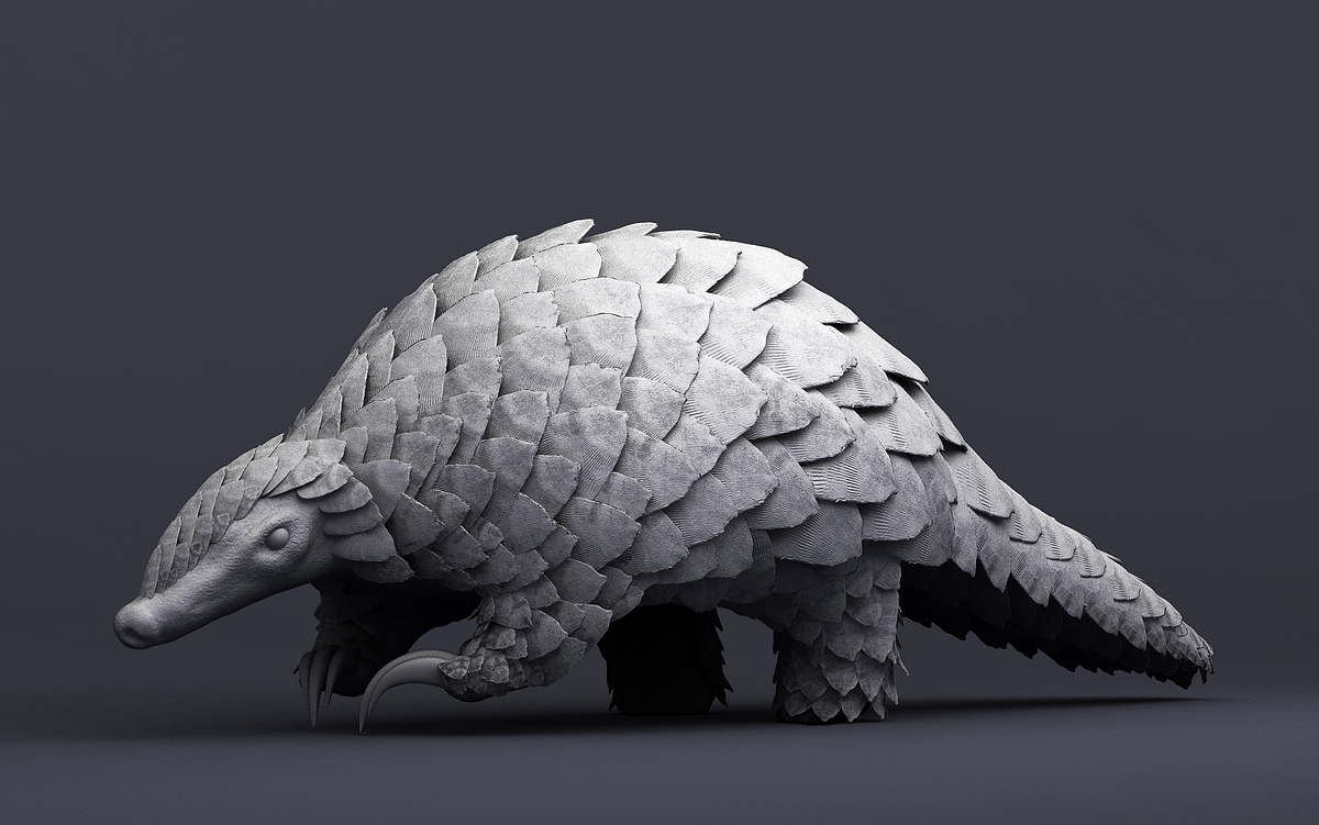 03_Pango