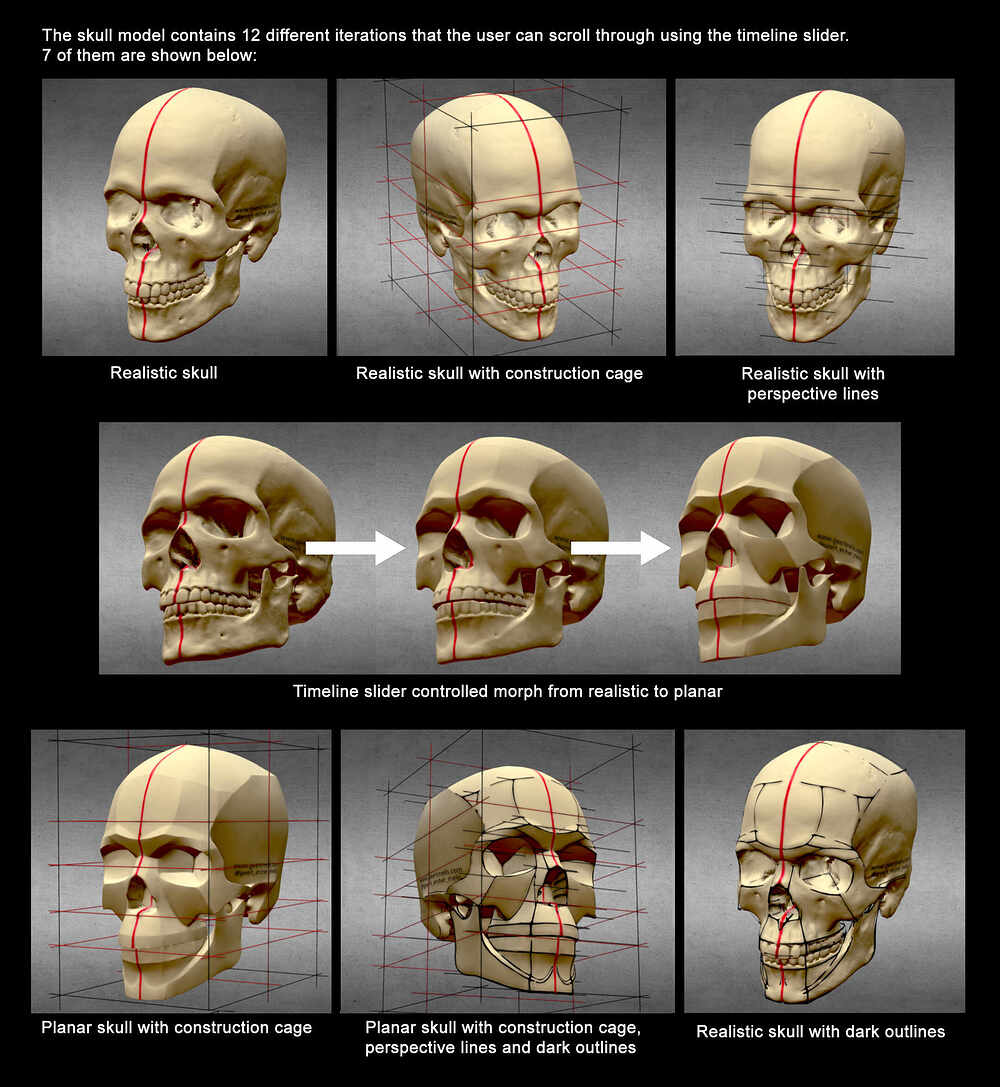 Sketchfab_Model_Options