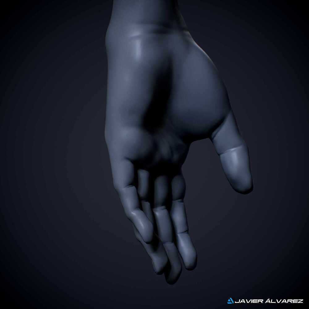 MaleAnatomyJAlvarez_6-2